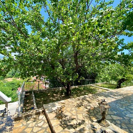Guest House Ivano Mostar Extérieur photo